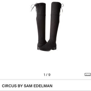 Peyton Boots for women high Circus by Sam Edelman